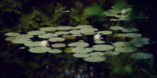 822155 (a): :2180x1080